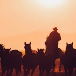 Слот игра Wild West Gold - робкий обзор с сомнениями