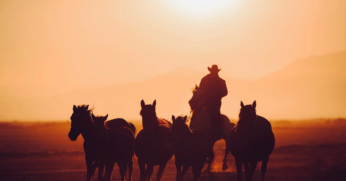 Слот игра Wild West Gold - робкий обзор с сомнениями