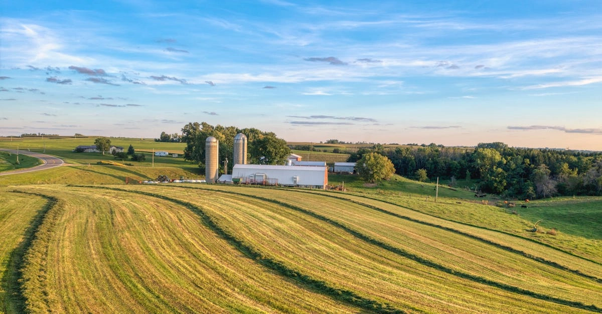 Скриншот игрового интерфейса слота Bigger Barn House Bonanza